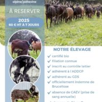 Réservation chevrettes bouquillons, dispo mars 2025